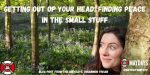 Getting out of your head: finding peace in the small stuff